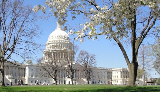 capitol_springtime